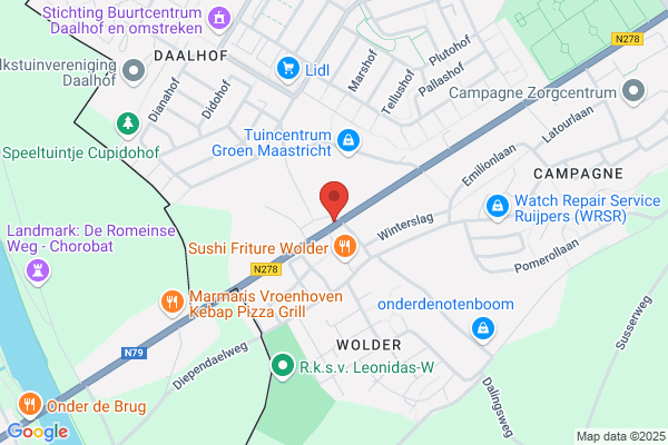 Duivensport