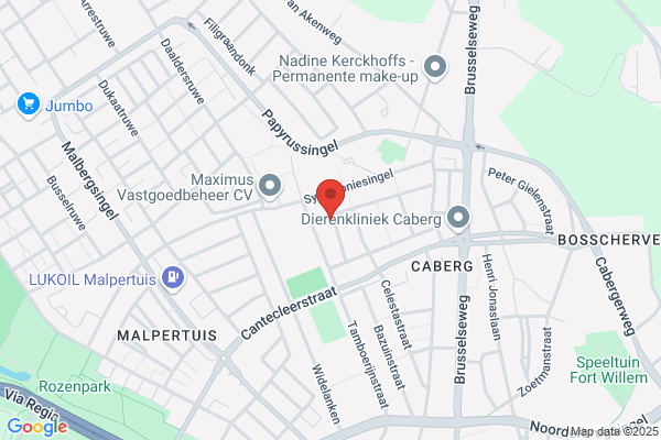 Limburg, Hovo