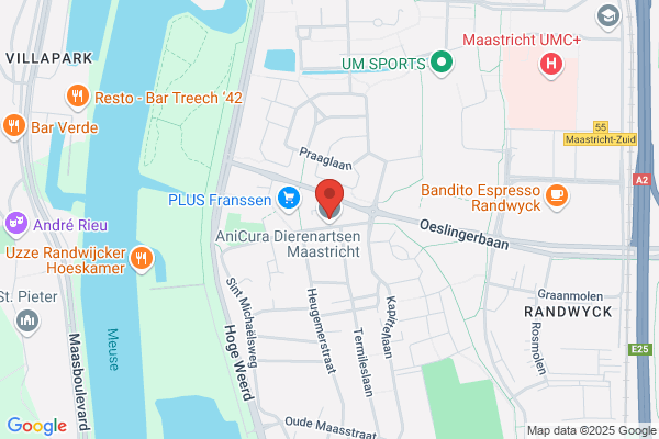 Kattenpension De Gelaarsde Kat