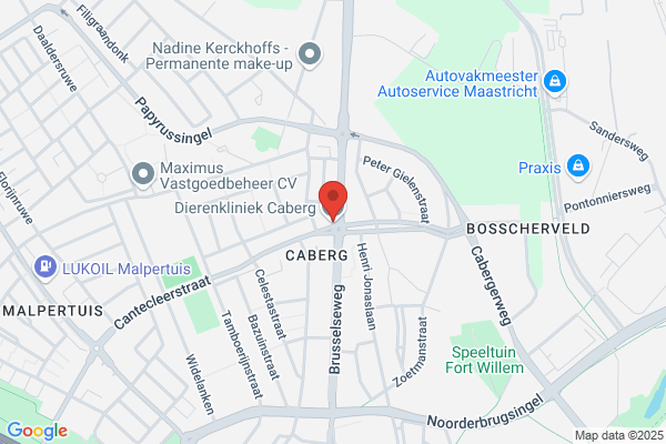 Dierenkliniek Caberg