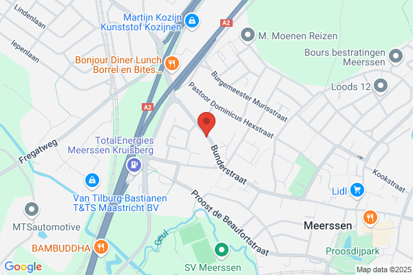 G. Huynen