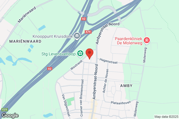 Inlijsterij Van Dongen