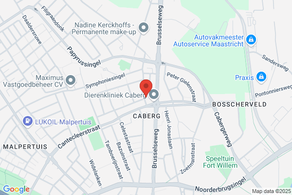 Caribbean Embassy
