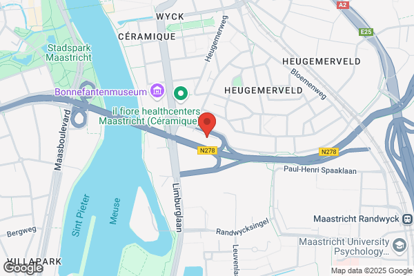 Biesmans, R