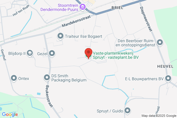 Spruyt, Pieter
