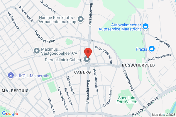 Caberg