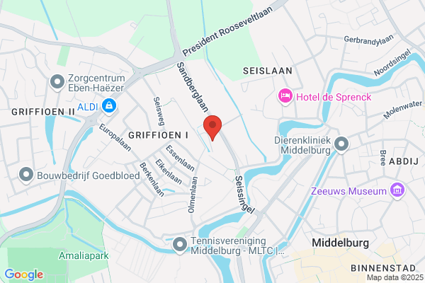 Spelen Der Wijzen