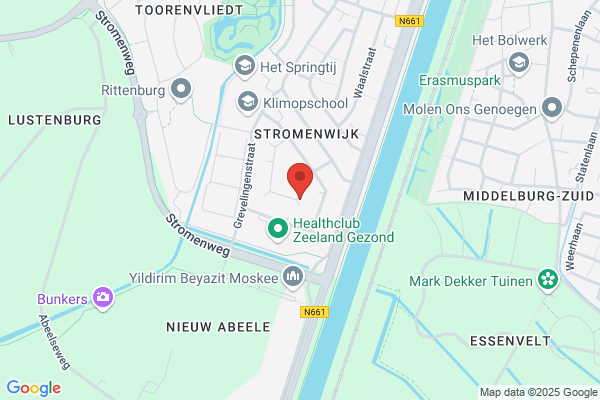 Acupunctuur Louwe A.P. Kooijmans De Nooijer