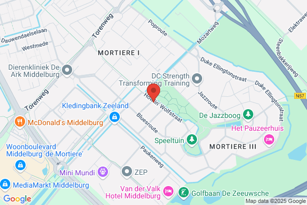 Goochelaar, De