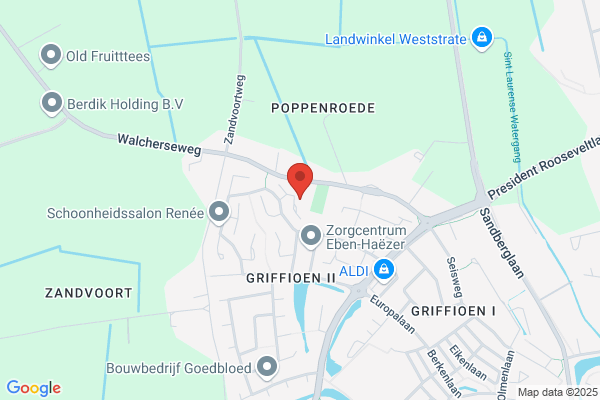 H J De Jonge