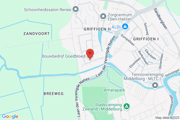 I.A. Goedbloed