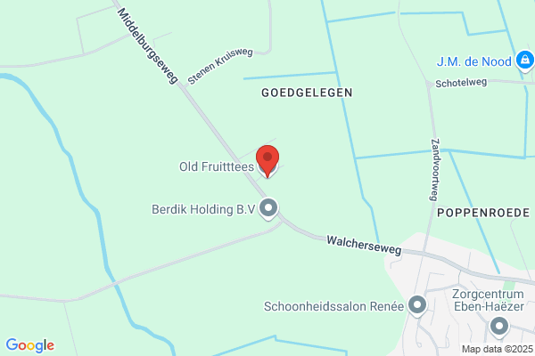 Gerrit Luiten Buxus Kwekerij