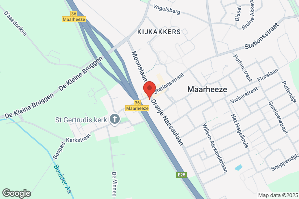 Wapen Van Budel, Het