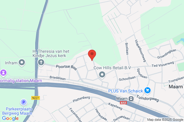 Ir. A.J. Lutmers Management Bv