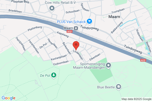 Linden, Van Der