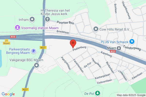 Bruijnzeels Cons