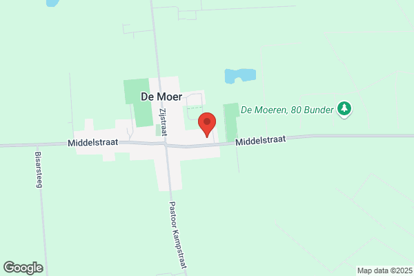 Wensput, De