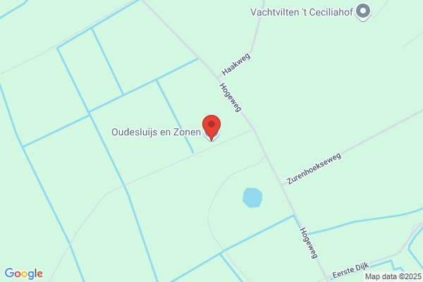 Frans Thuijs Bv