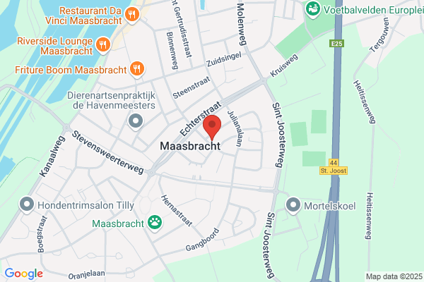 Henckens, F