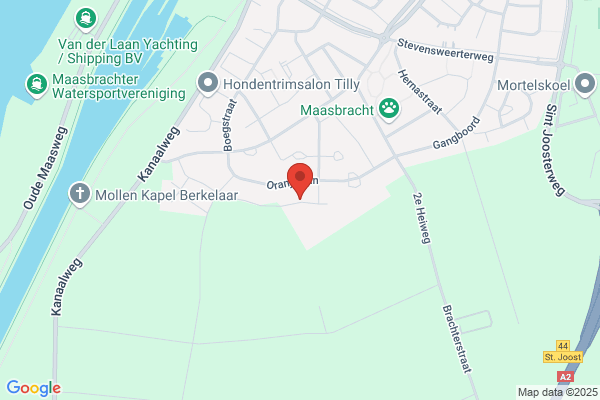 Corien