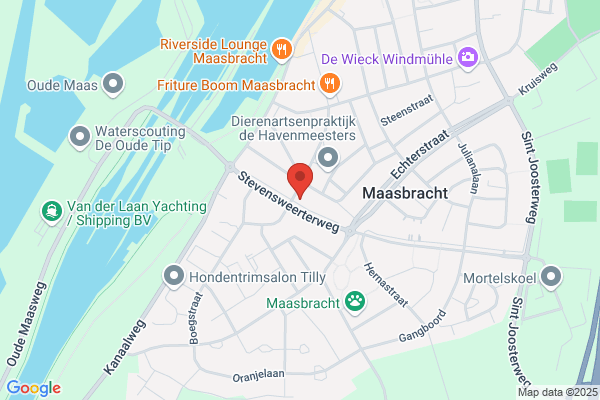 Cats en Zo Exclusief Kattenhotel - Dierenpension