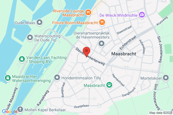 Maasvaart, De