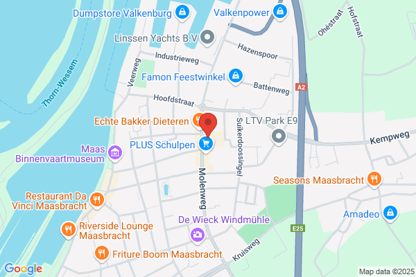 F.E.M.I. Nieuwenhuis