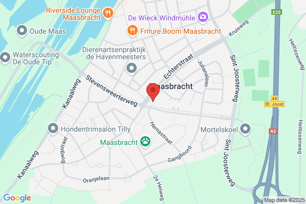 Nieuwenhuis, F E M I