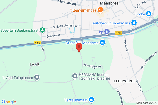 De Munt
