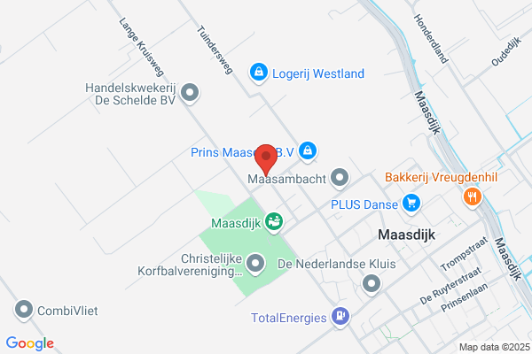 Jong Bv, M De