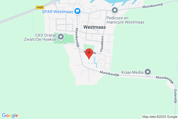 Vwp Management Opleidingen