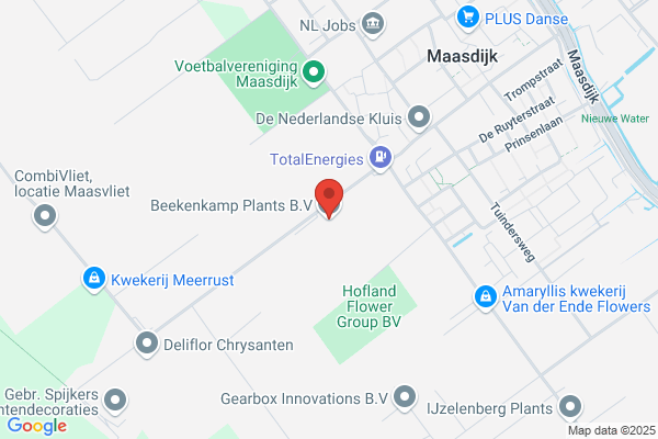 Beekenkamp Plantenkwekerij Bv