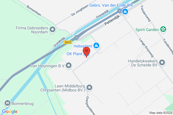 Firma Groenplant