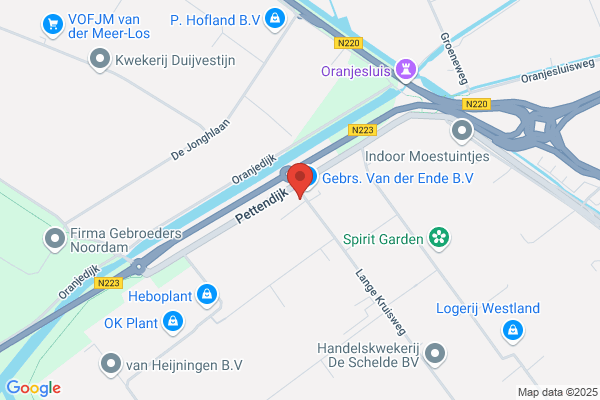 K M Zuidgeest