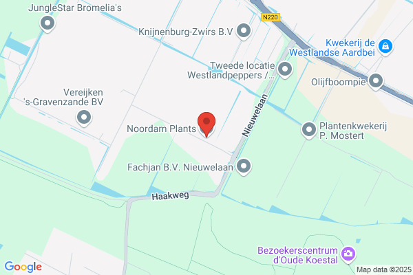 Firma Groenplant