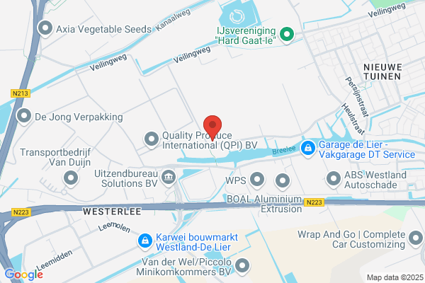 W. Middelburg Potplanten Bv
