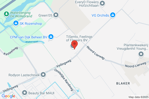Zuijdgeest De Lier