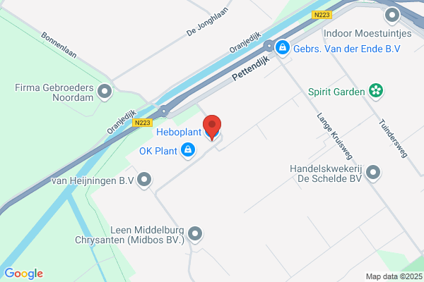 Heboplant Bv