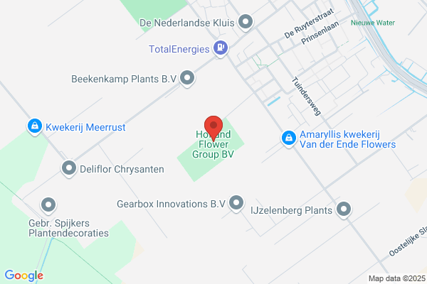 Hogoplant Bv