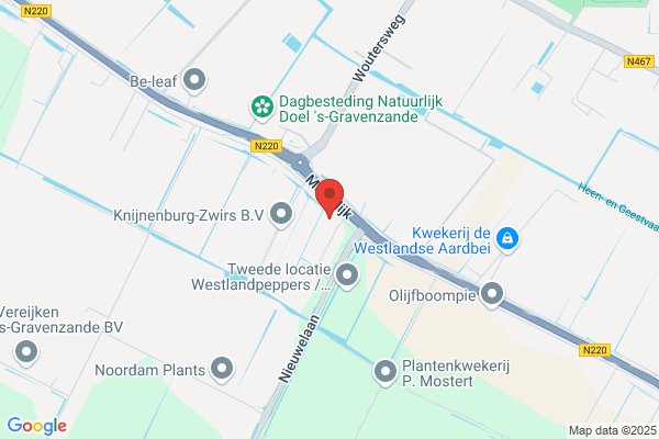 Zwinkels-Van De Marel
