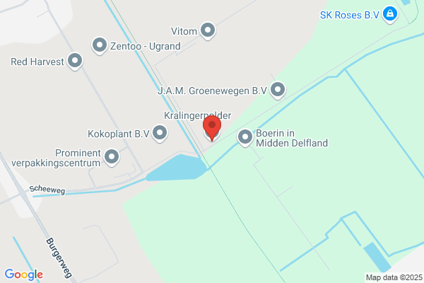 Collenburg Bv