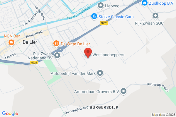 Firma P. Boekestijn En Zn