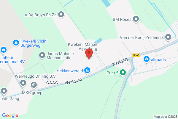 Kwekerij Vof J. Immerzeel