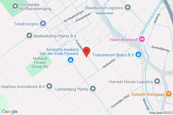Maatschap Stolze De Jong Bloemkwekerij