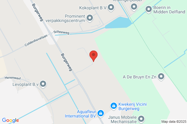 Koene Maatschap