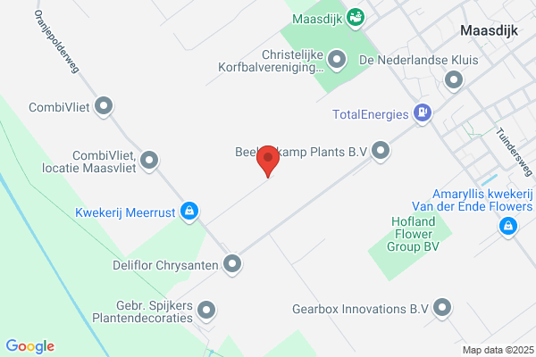 Zuidvliet Vof, De