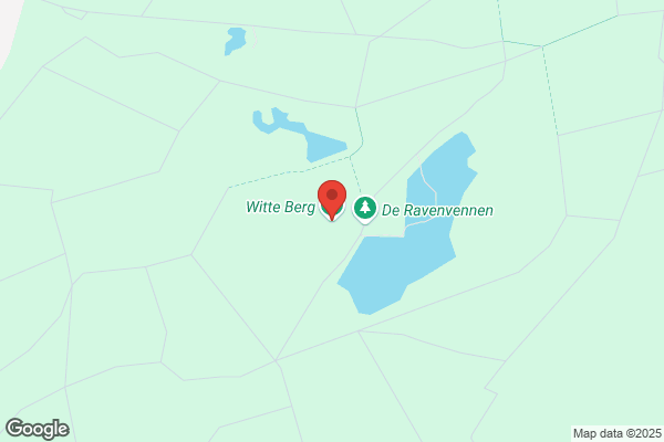 Wit, A L P De