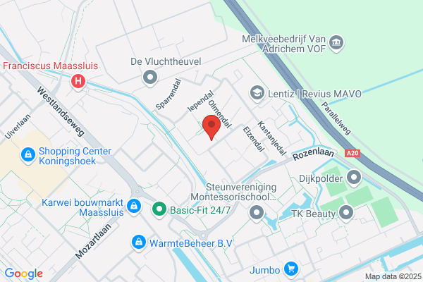 Dr Vinyl Maasland