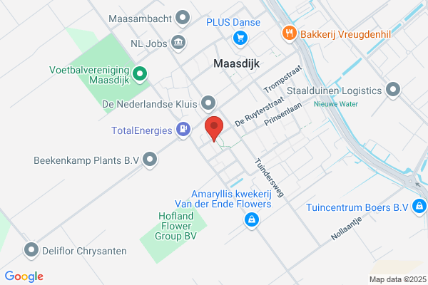 Boab