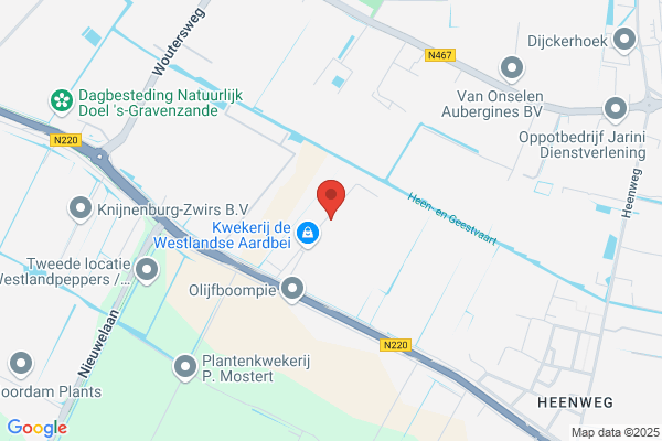 Van Der Sar Potplanten Bv